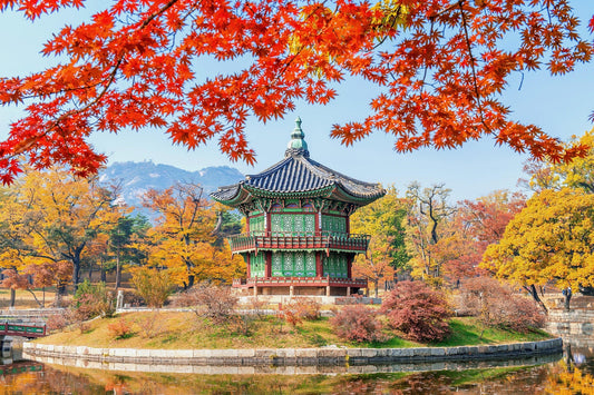 Why South Korean Products are Synonymous with Quality and Innovation